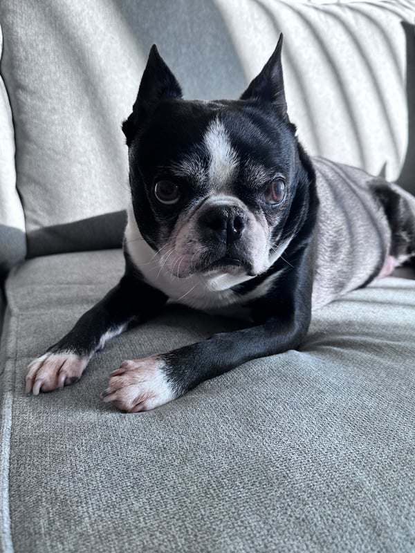 Roscoe