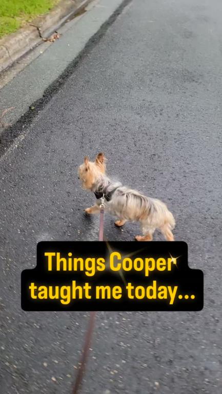 Cooper