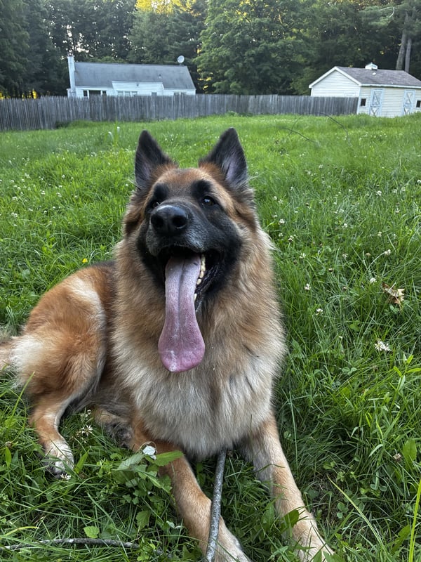 Hunter