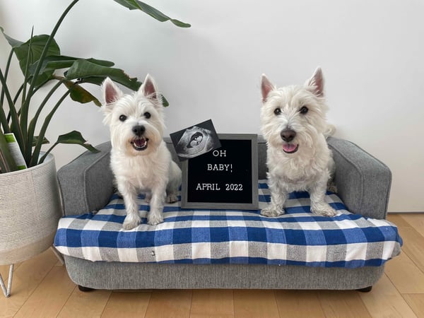 Milo & Winston