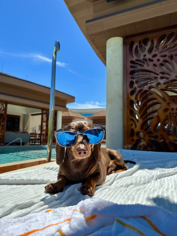 Instagram Reel + Content File
