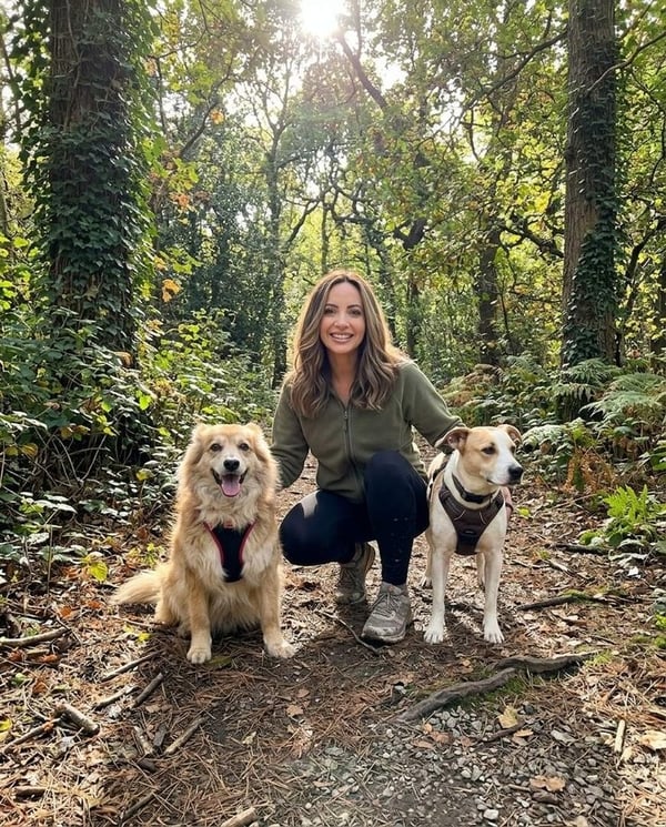 Free dog photo