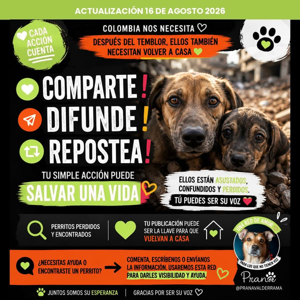 Trabalhos de exemplo