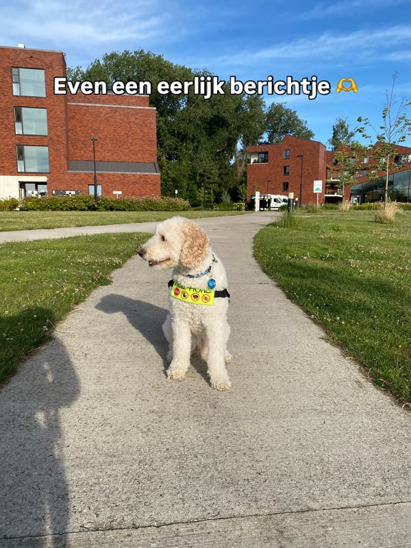 Instagram Story Sequence