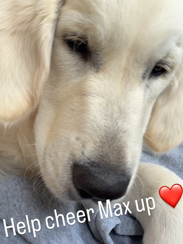 Instagram Story Sequence