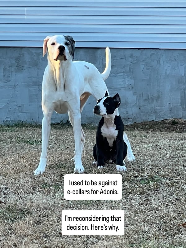 Instagram Story Sequence