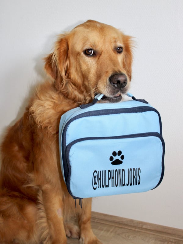 Stay Cool with Joris: Personalized Mini Cool Bag!
