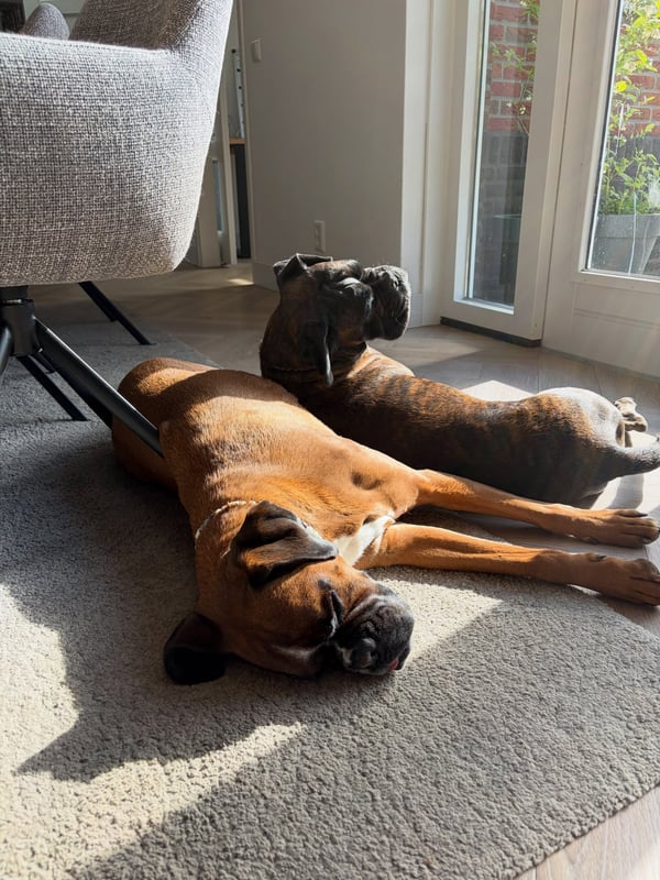 Sample work