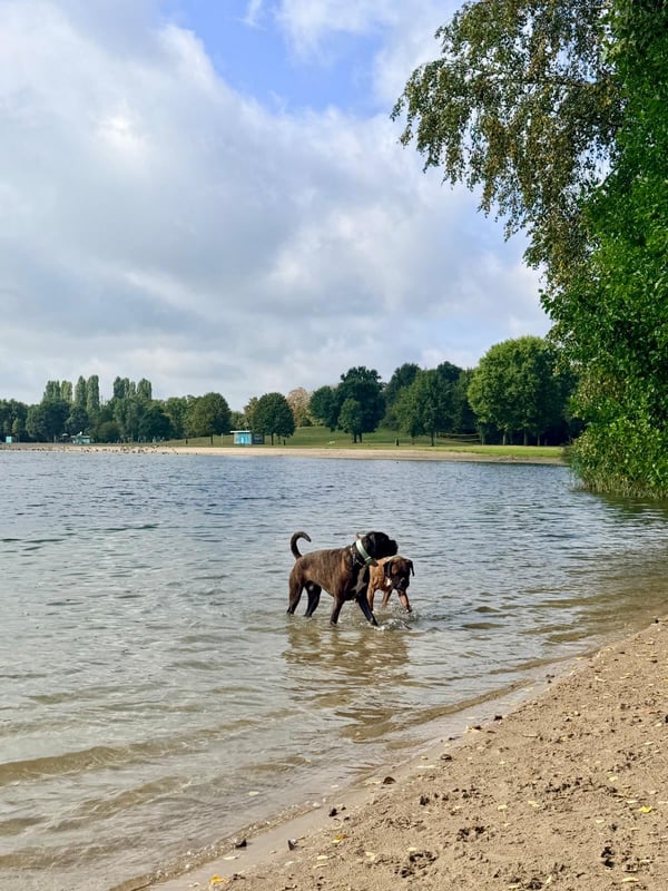 Beispielarbeiten