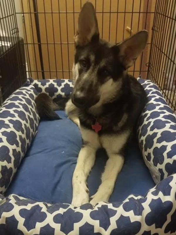 Instagram Story Sequence