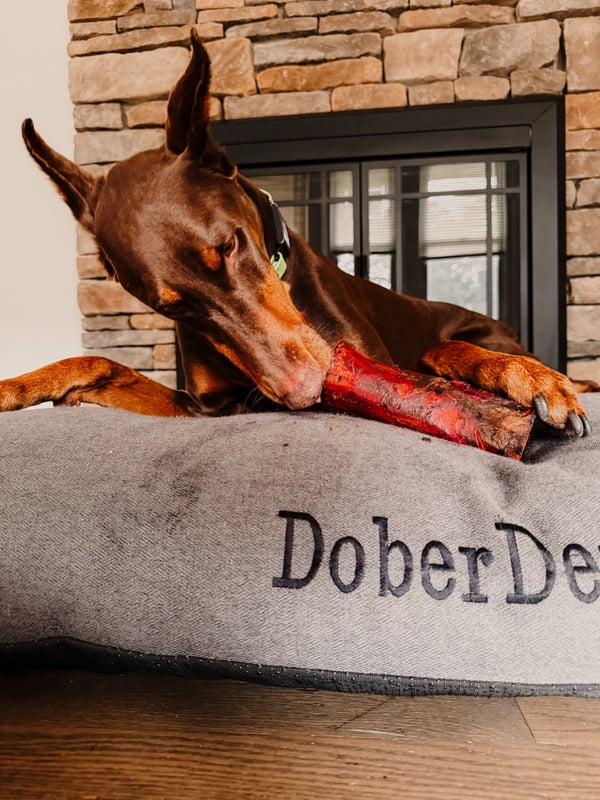 Beispielarbeiten