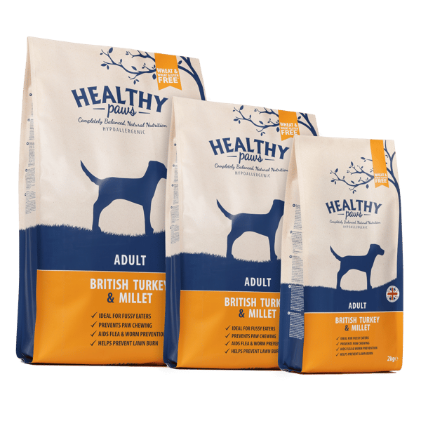Adult Dog Food