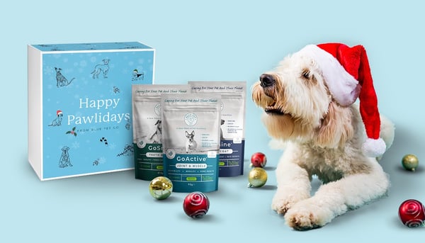 Christmas Gift Box