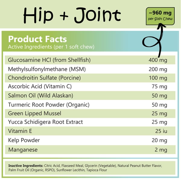 Hip + Joint