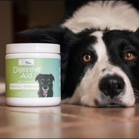Digestive Aid
