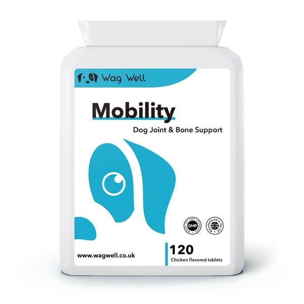 Mobility - Dog Joint & Bone Support