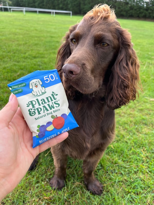 Blueberry and Apple Natural Bites