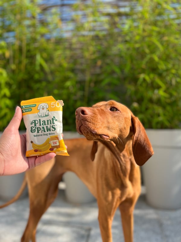 Banana and Peanut Butter Natural Bites