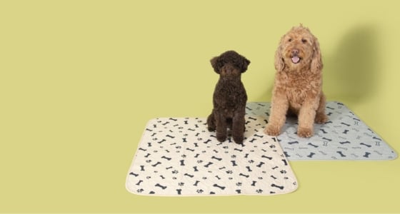 Premium Reusable Puppy Pee Pads