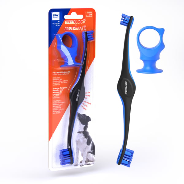 Dental Hygiene Kit