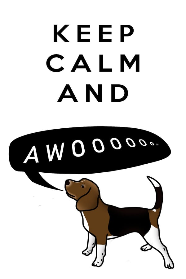 Wenskaart Beagle