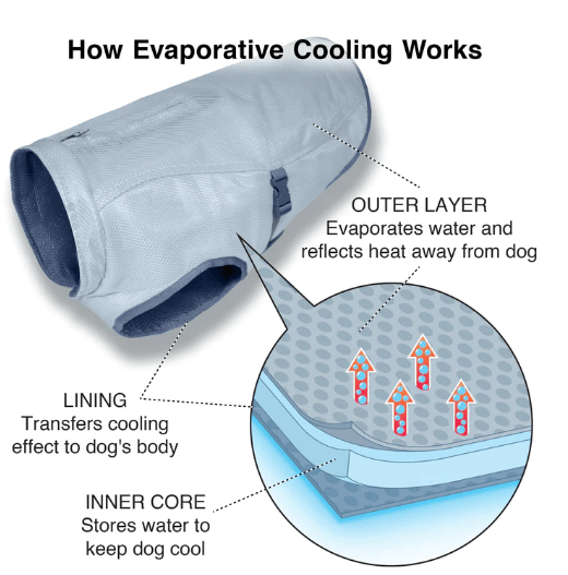 Dog Core Cooling Vest
