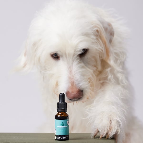 Hemp Oil With 1000mg Naturally Occurring CBD For Large Dogs