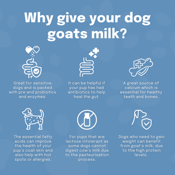 Goats Milk Powder