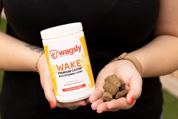 Wake Multivitamin Chews