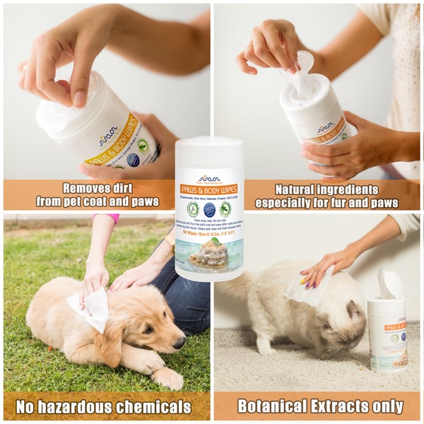 Dog and Cat Wipes for Pet Grooming with Chlorhexidine and Silk Protein