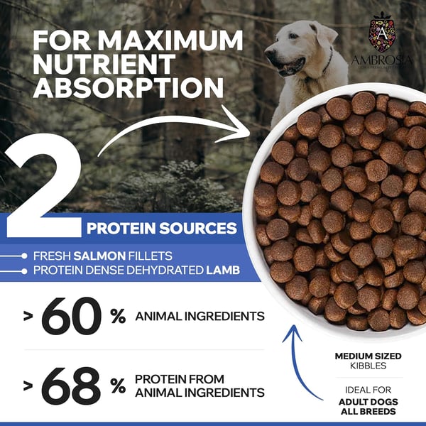 Lamb & Fresh Salmon 2kg - Adult - All breeds