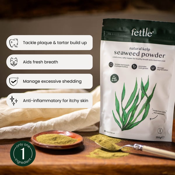 kelp seaweed powder
