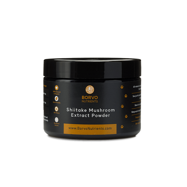 Shiitake Mushroom Extract