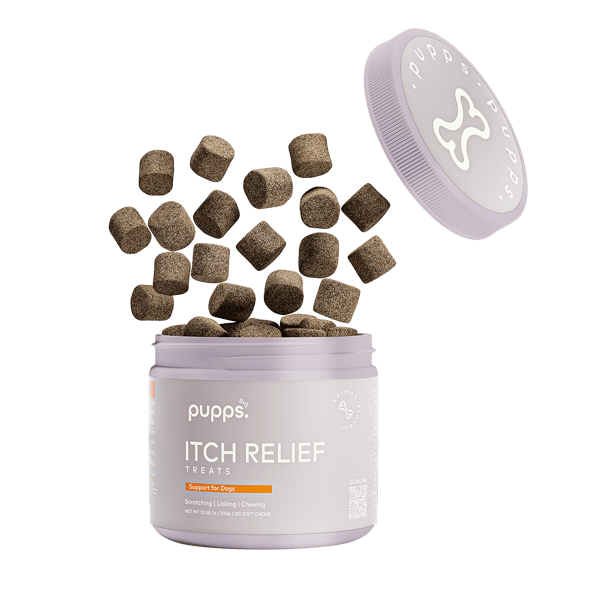 Itch & Allergy Relief Treats