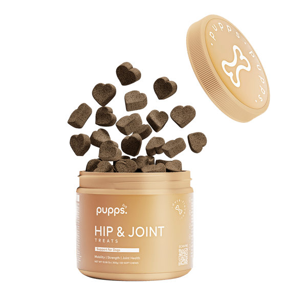 Hip & Joint Treats