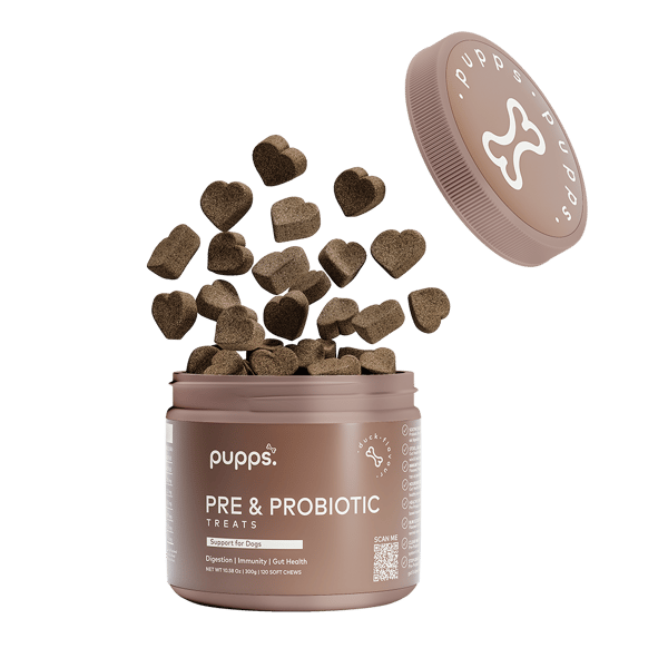 Pre & Probiotic Treats