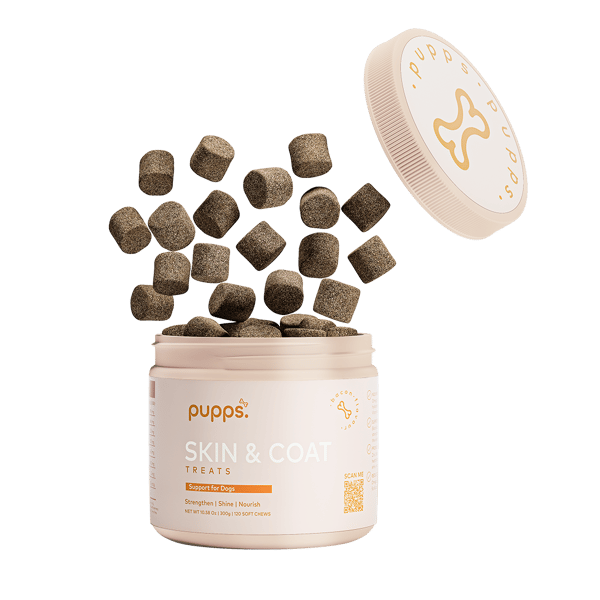 Skin & Coat Treats