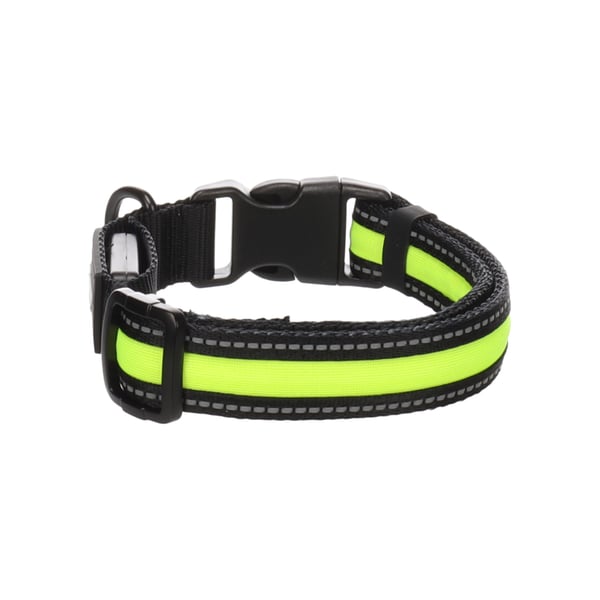 Collar Flitzy