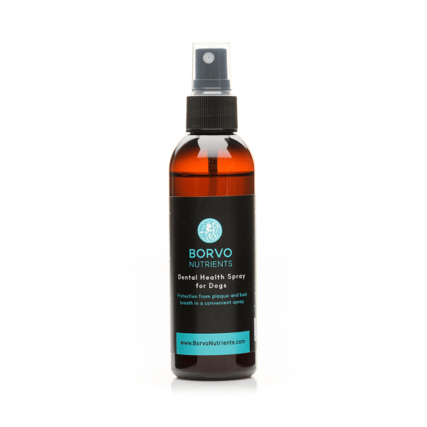 Dental Health Spray