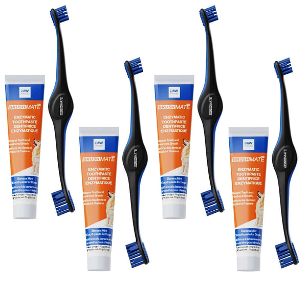 4 Brushing Kits