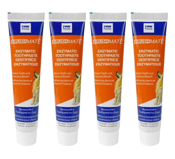 4 Pack Enzymatic Pet Toothpaste