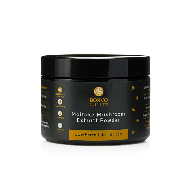 Maitake Mushroom Extract Powder for Dogs