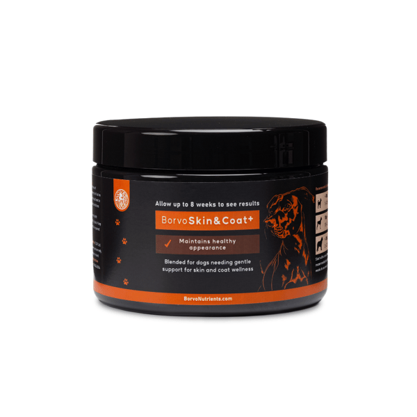 Skin & Coat + | Improve your dogs skin and coat condition
