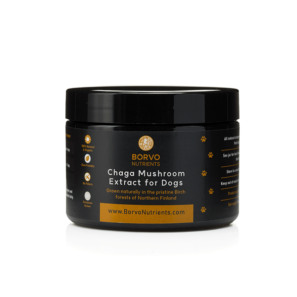 Chaga Mushroom Extract for Dogs
