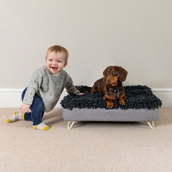 Topology dog bed with 2 toppers and feet