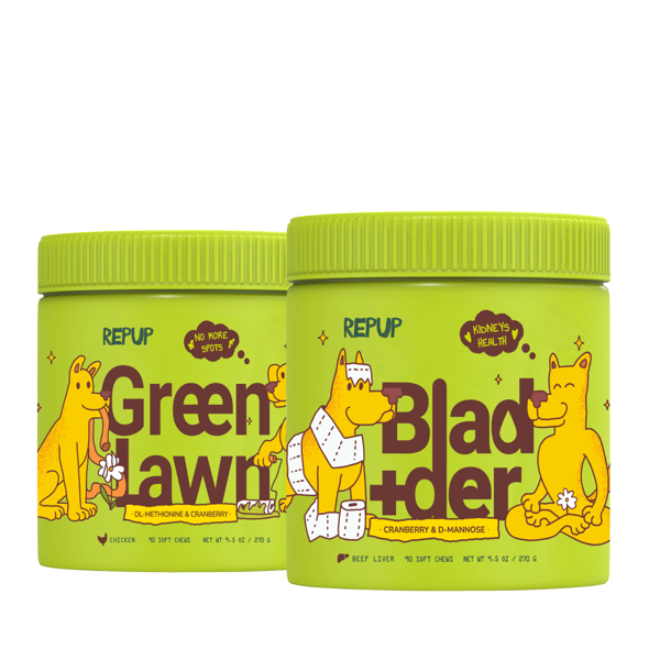 Bladder Supplements