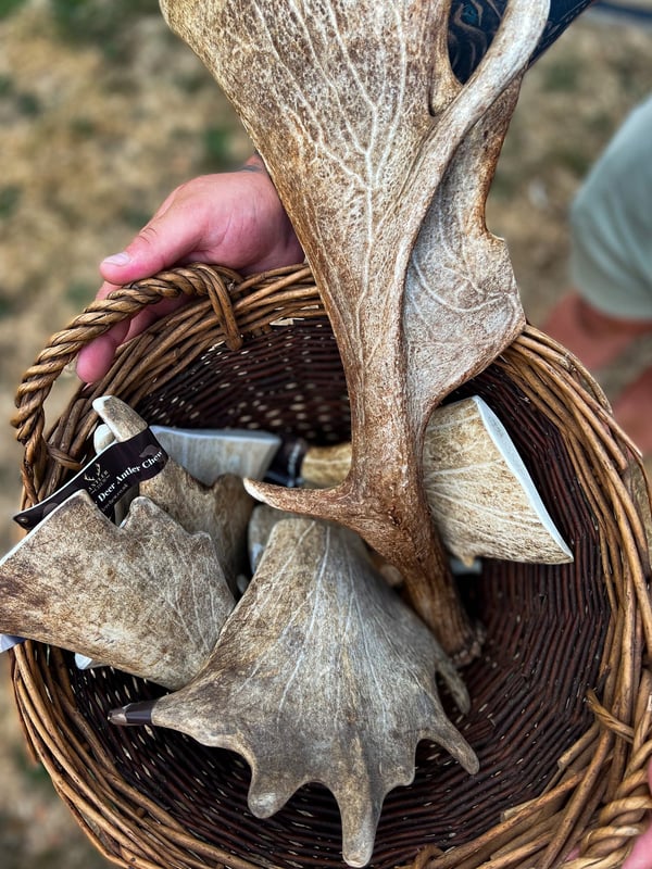 Fallow Deer Antler Chew