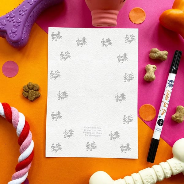 Halloween Boop Chicken Card