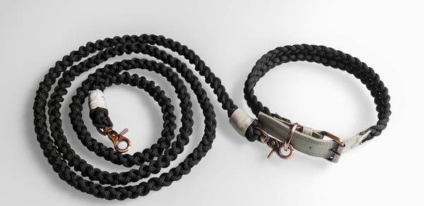 BetterLeash - 100% Fairtrade Recycled Ocean Bound Plastic Dog Leash & Collar Combo