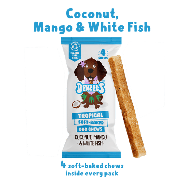 Tropical Soft-Baked Dog Chews (4 x sticks)